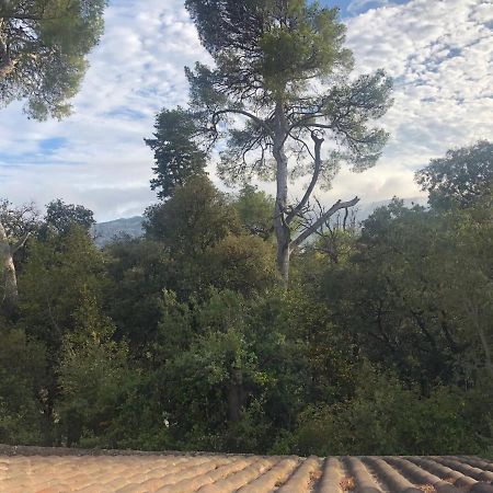 Les Magnolias Bed & Breakfast Marseille Exterior photo